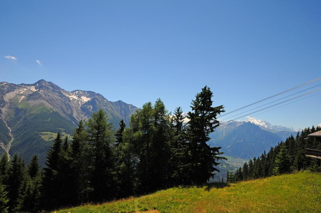 Alpenhaus Bettmeralp Eksteriør bilde